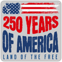 Independence Day Tees - D21 Designs, Paris IL Thumbnail
